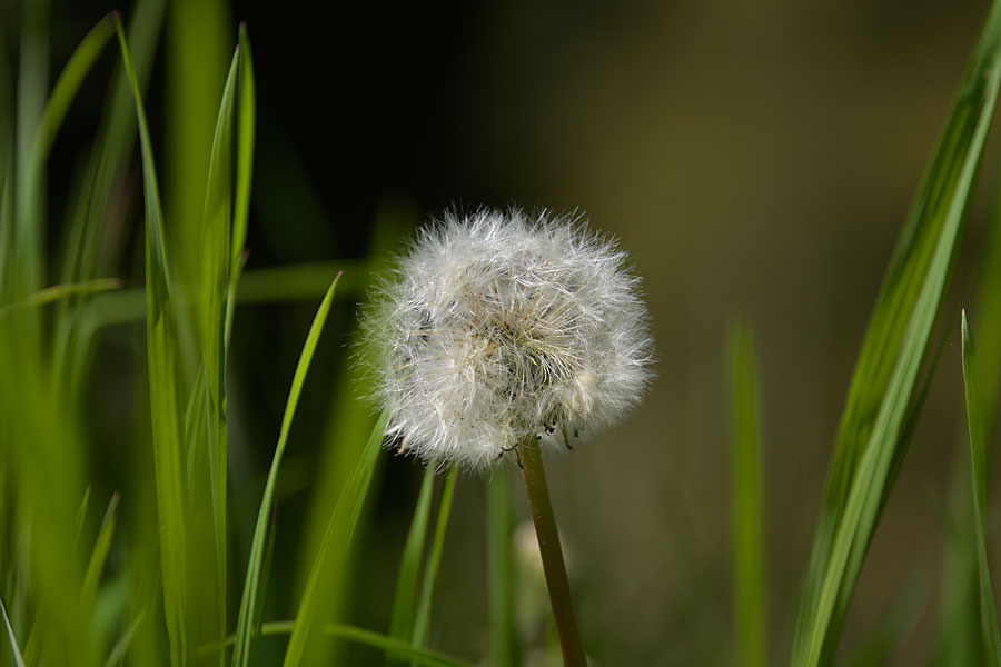 Stacks Image 146