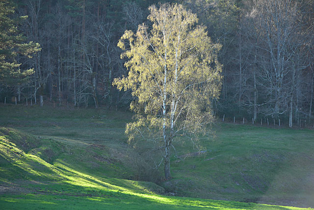 Stacks Image 30