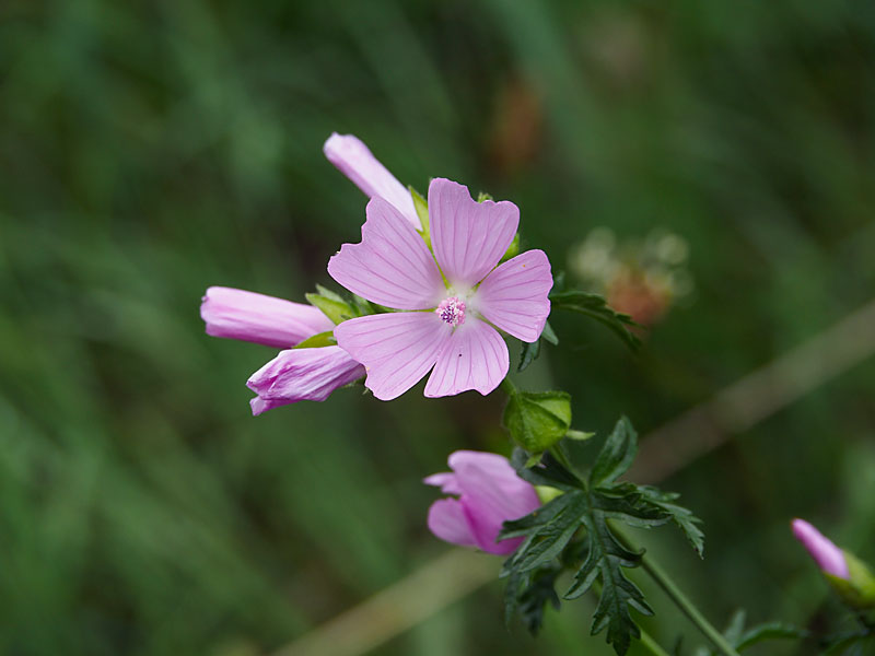 Stacks Image 153