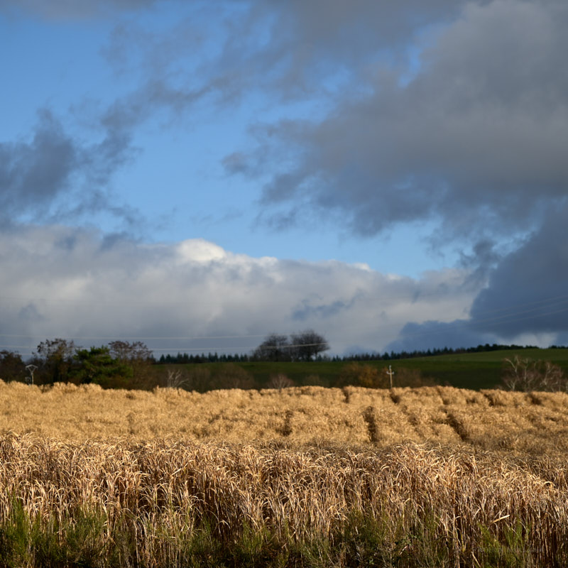 Stacks Image 173