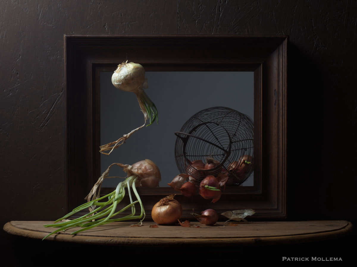 The onions painting.jpg