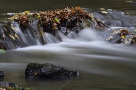 Stacks Image 26