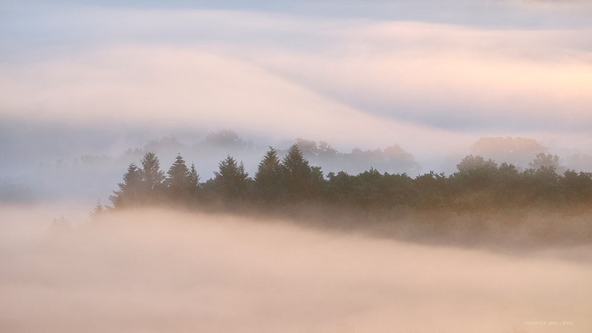 Brume colorée.jpg