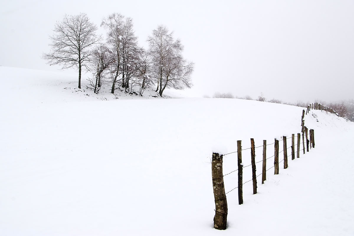 La neige à Goulles .jpg