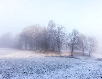 Pebru and a bit of snow.jpg