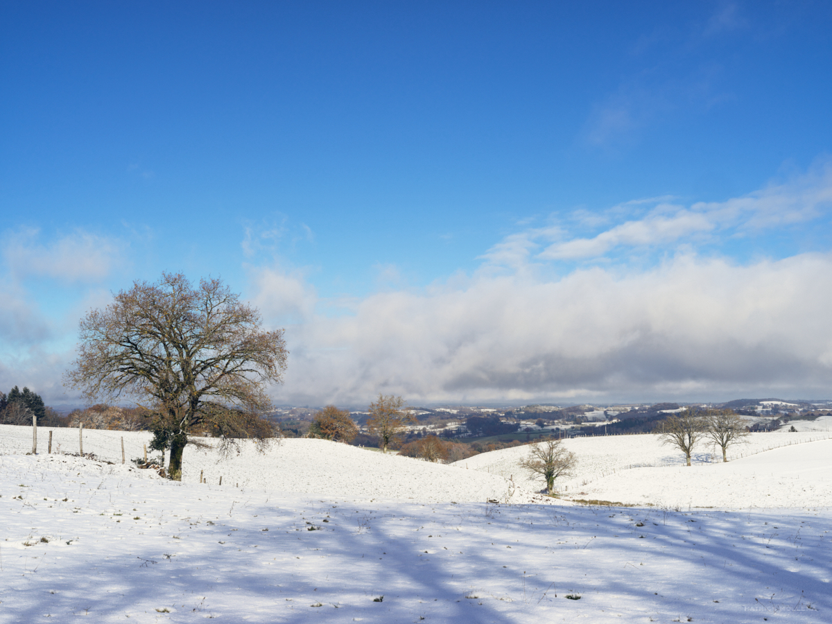 été hiver jour.jpg