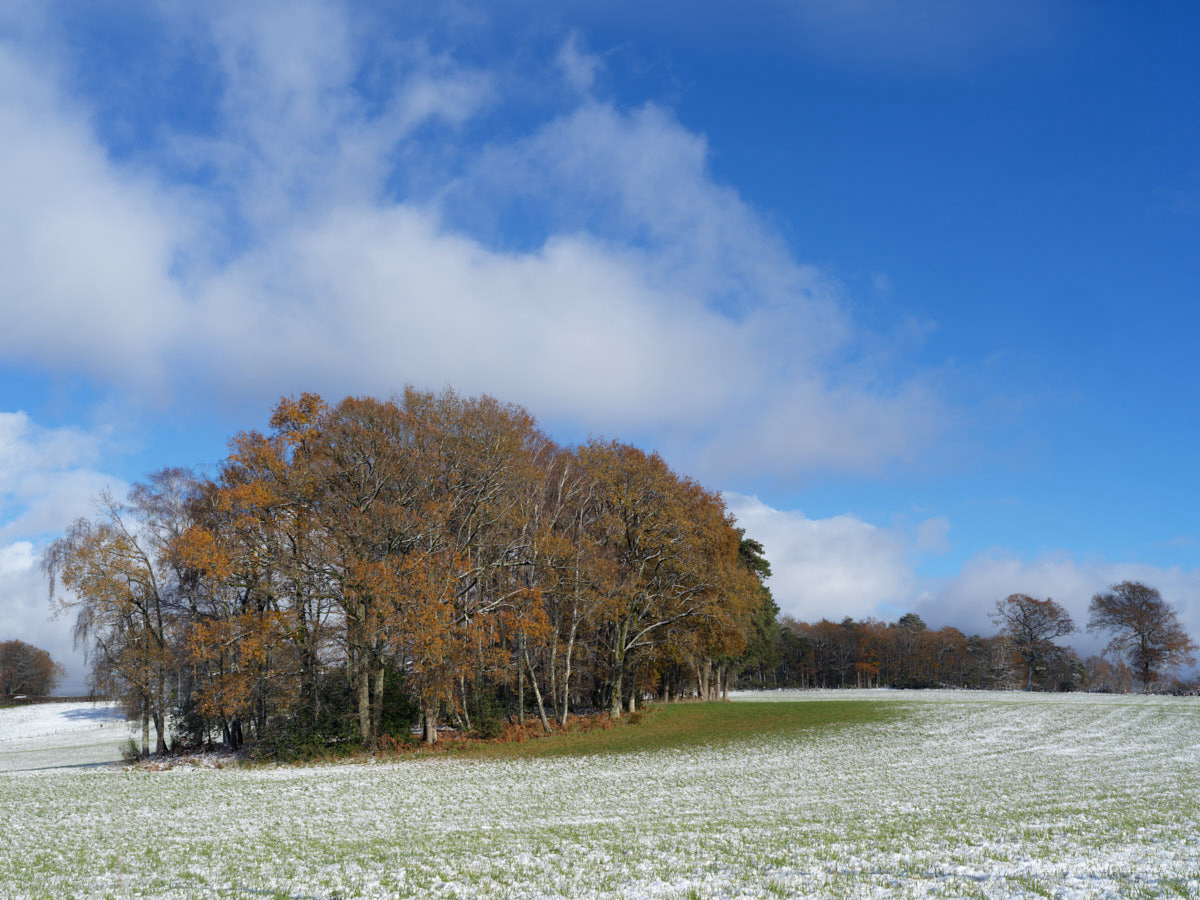 L'île dans la neige.jpg