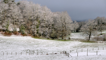 La premiere neige.jpg