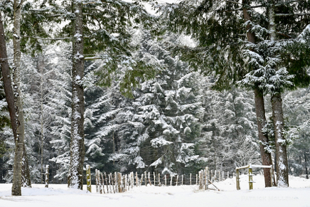 La route de neiges.jpg