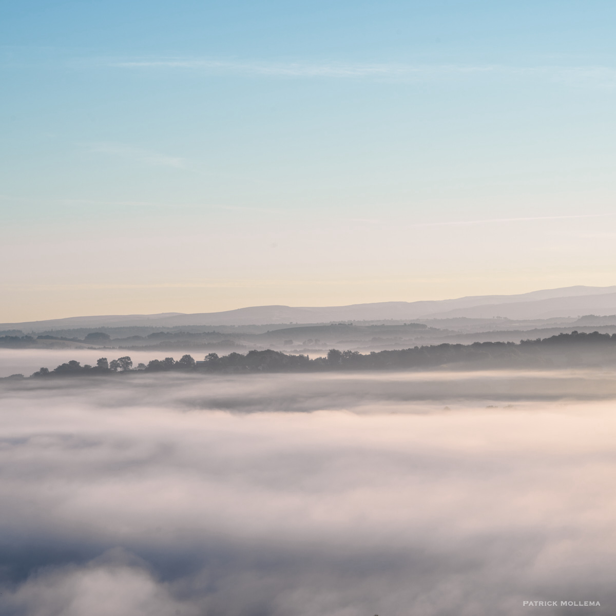 Tree island in the fog.jpg