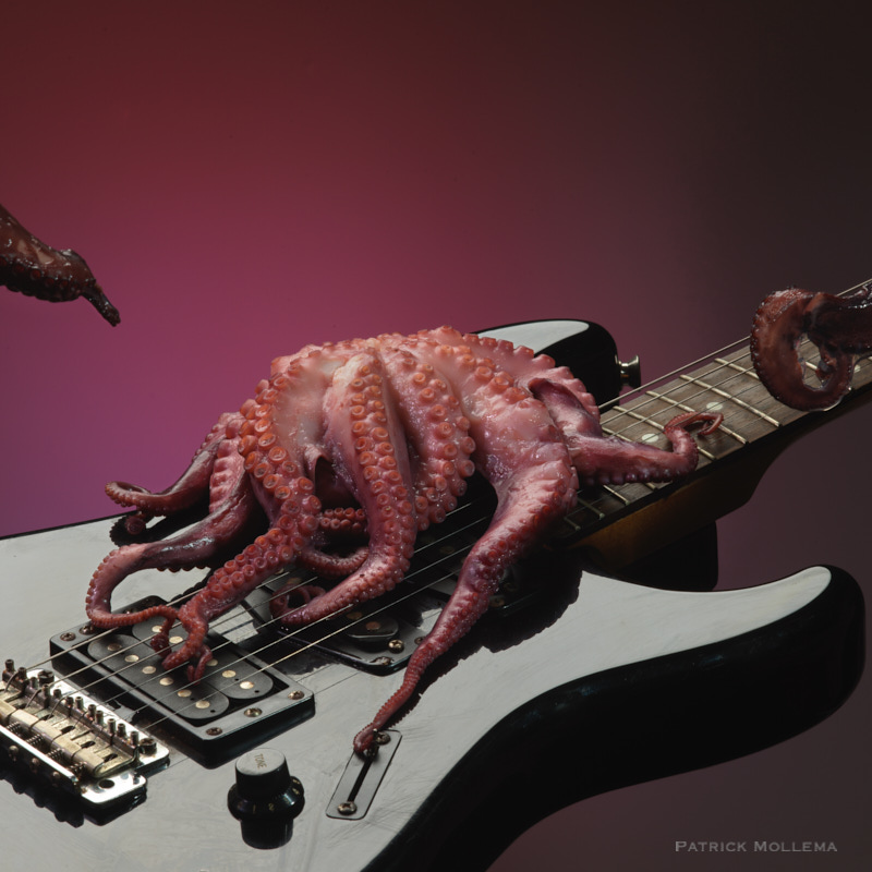 01-10-2022_Squid guitar_0012