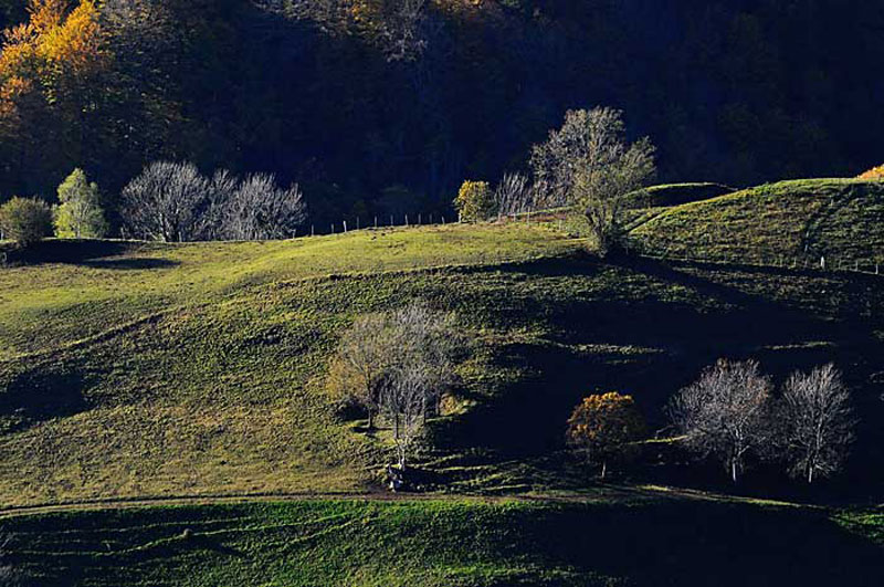 Bram-Puy-Mary