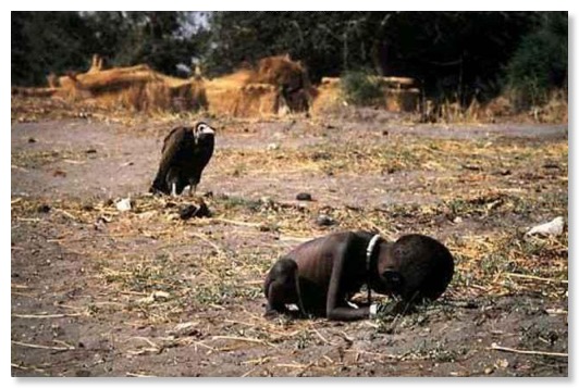 kevin_carter