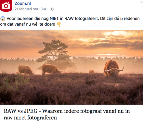 Zoom artikel