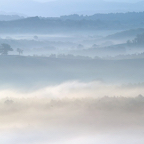 Ellen-sprookjes-landschap