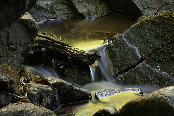 Judy-groen-water.jpg