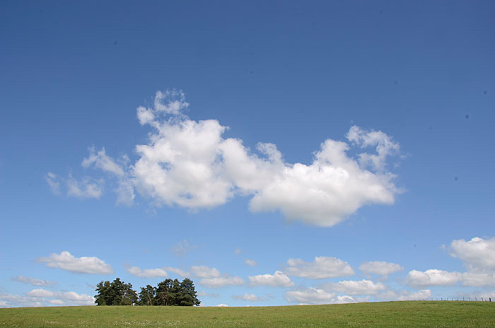 Betty-weide-landschap.jpg