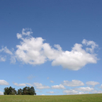 Betty-weide-landschap.jpg