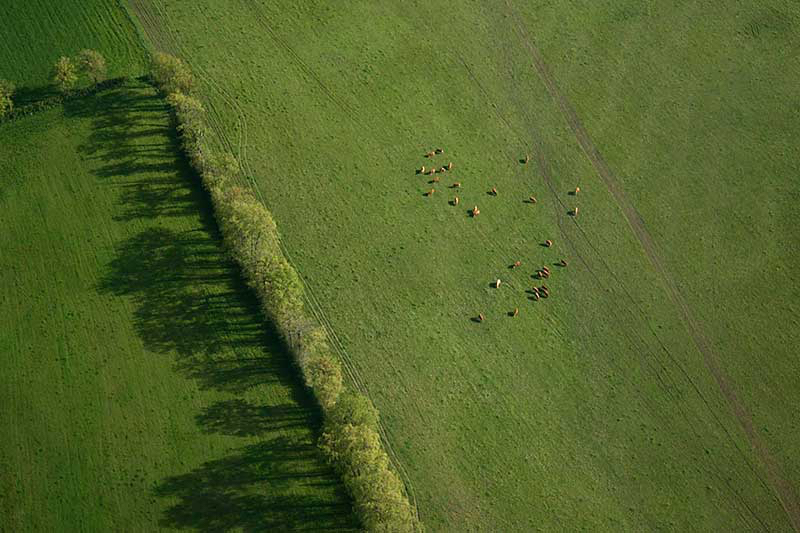 Annette-luchtfotografie.jpg