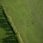 Annette-luchtfotografie.jpg