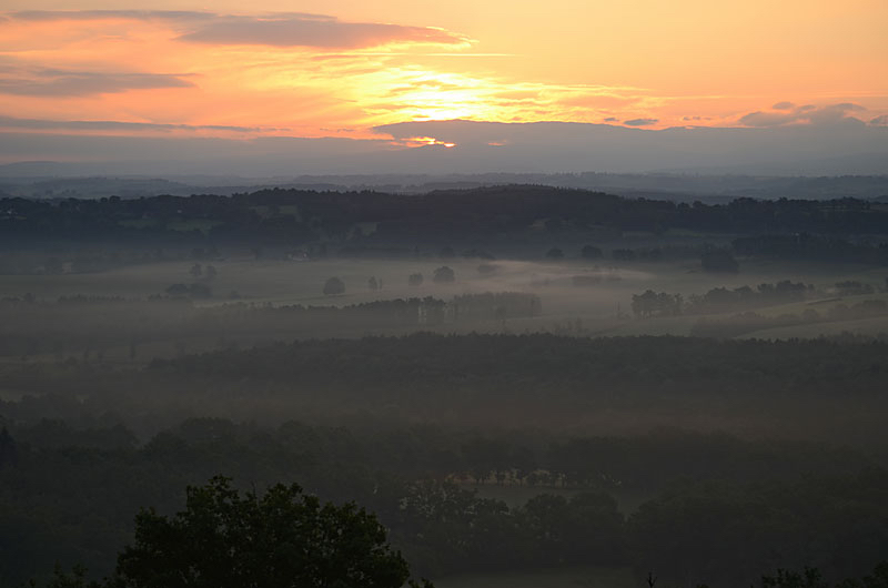 Petri-landschap.jpg