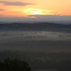 Petri-landschap.jpg