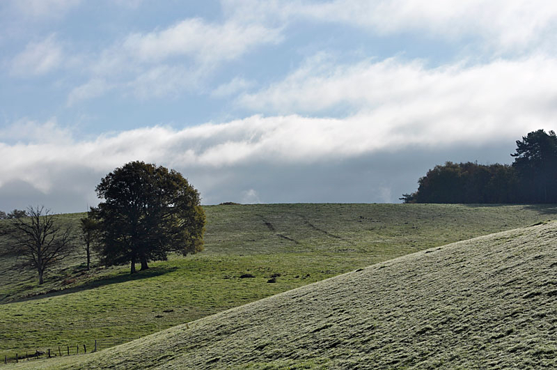 Agavni-landschap.jpg