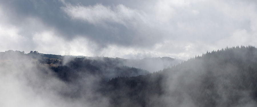 Guus-in-de-wolken.jpg