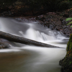 Paul-boom-in-het-water.jpg