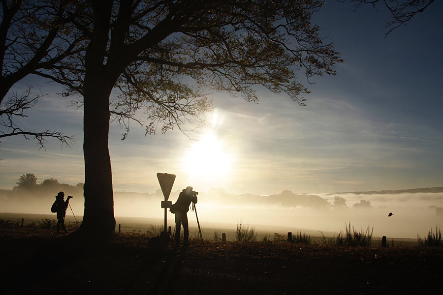 Els-overzicht-landschap-schieten.jpg