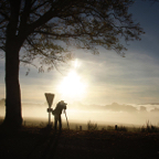 Els-overzicht-landschap-schieten.jpg