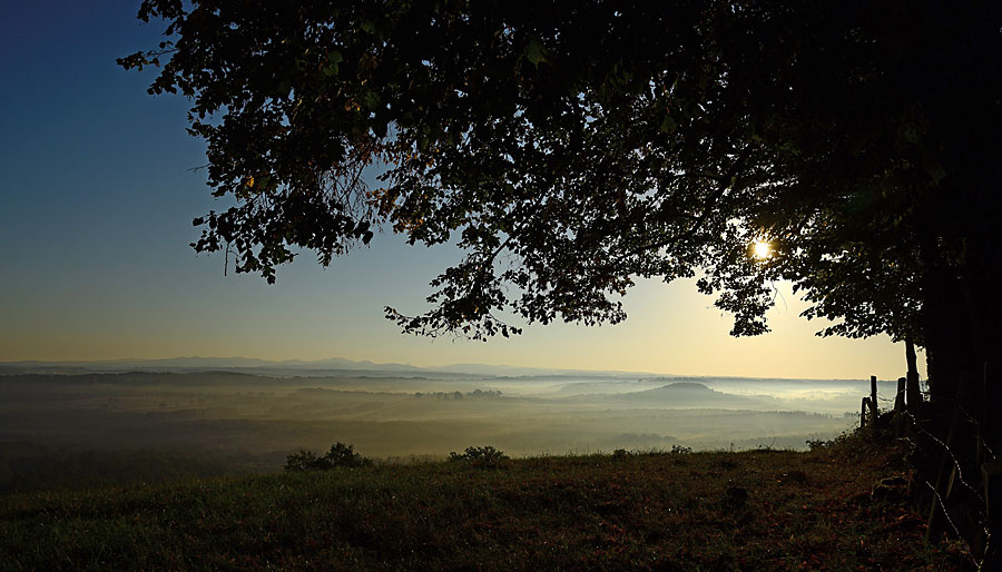 Marionne-landschap-met-coulisse.jpg