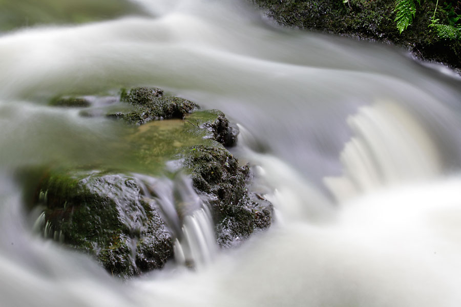 Reinder-water-fotografie.jpg