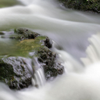 Reinder-water-fotografie.jpg