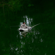 Marlies vissen in het groen.jpg