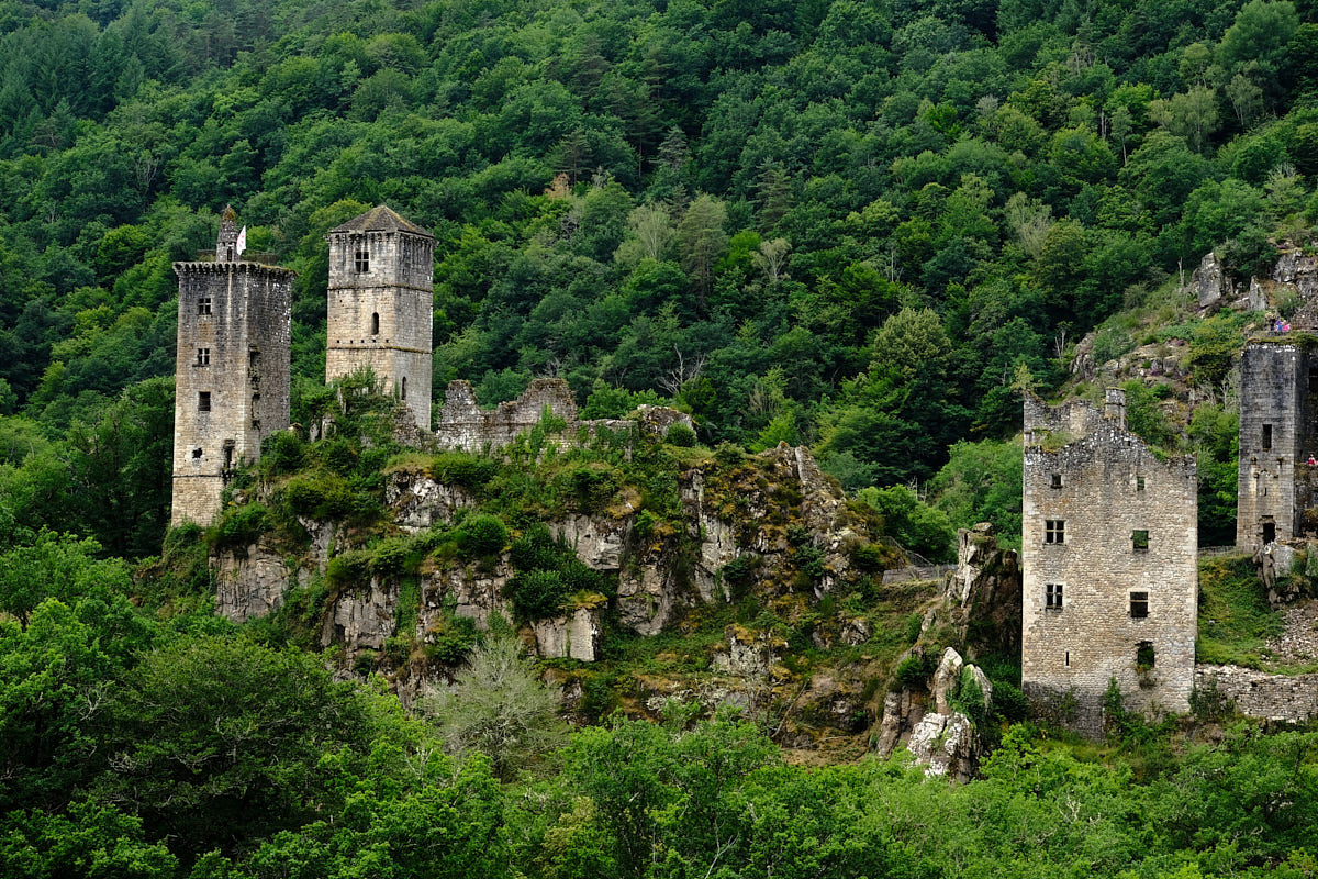 Anne - Marie tours de merle.jpg