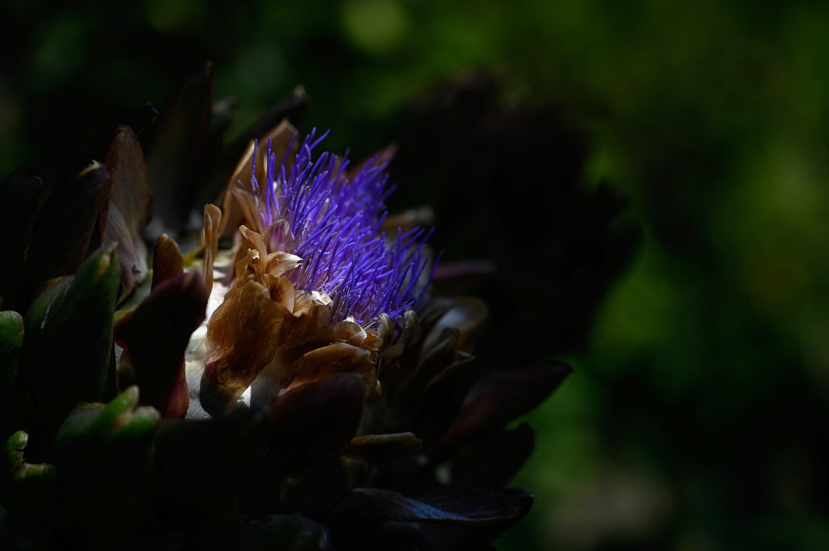 Marlies eerste trapje op een bloem.jpg