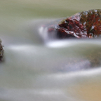 Jaap aan het water.jpg