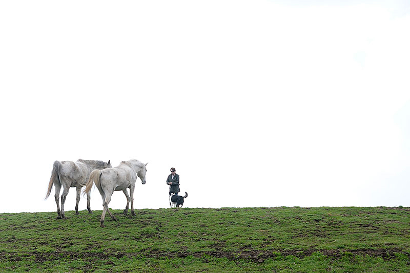 Andre-en-paarden.jpg