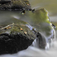 Isabeau-groen-water.jpg