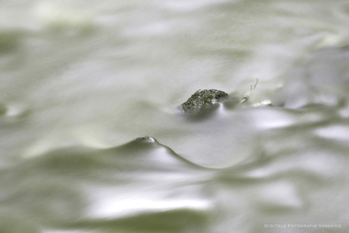 Bas aan het water.jpg