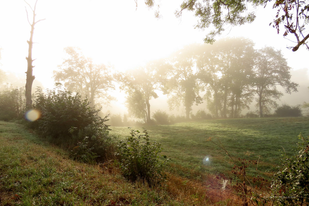 Henriet beetje veel mist.jpg