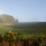 Saskia moeilijke landschap ochtend.jpg