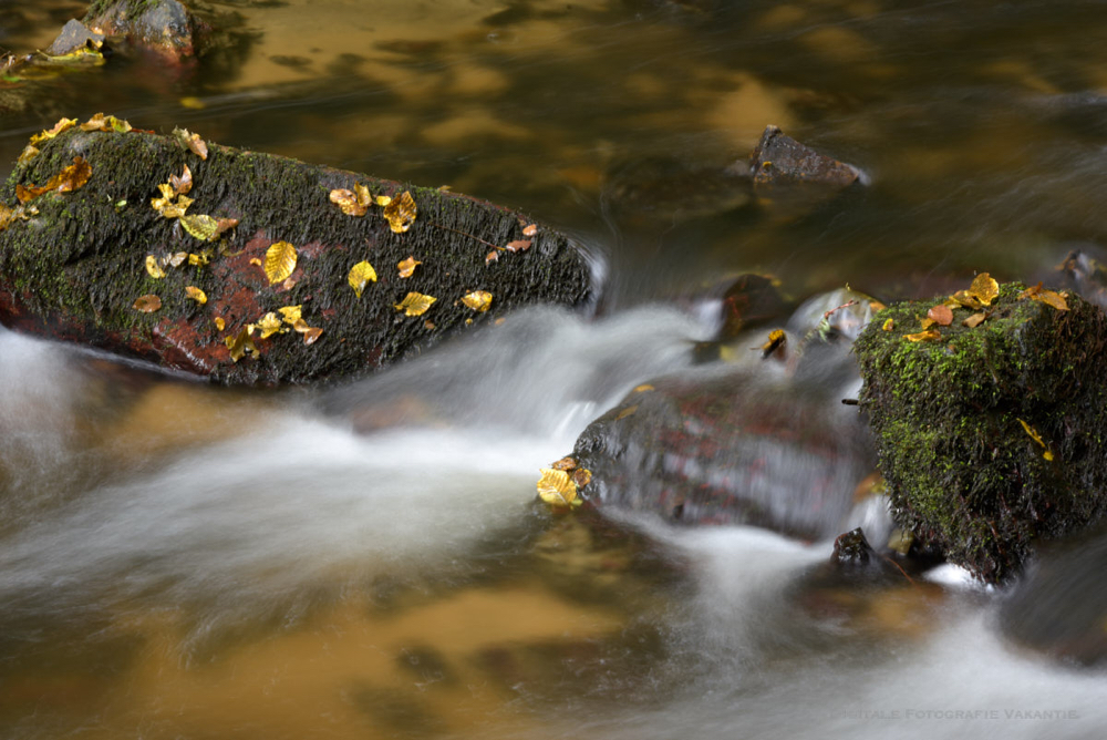 Marleen water stroming.jpg