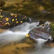 Marleen water stroming.jpg