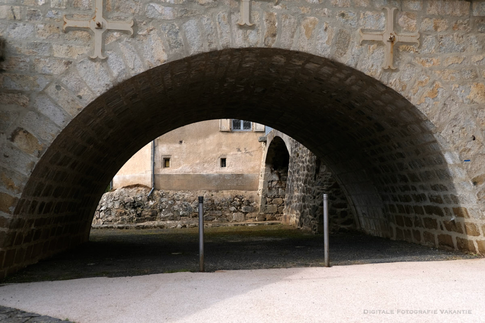 Mischa under the bridge.jpg