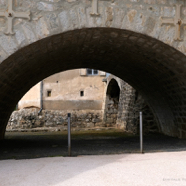 Mischa under the bridge.jpg