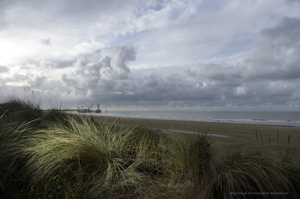 Ayan scheveningen.jpg