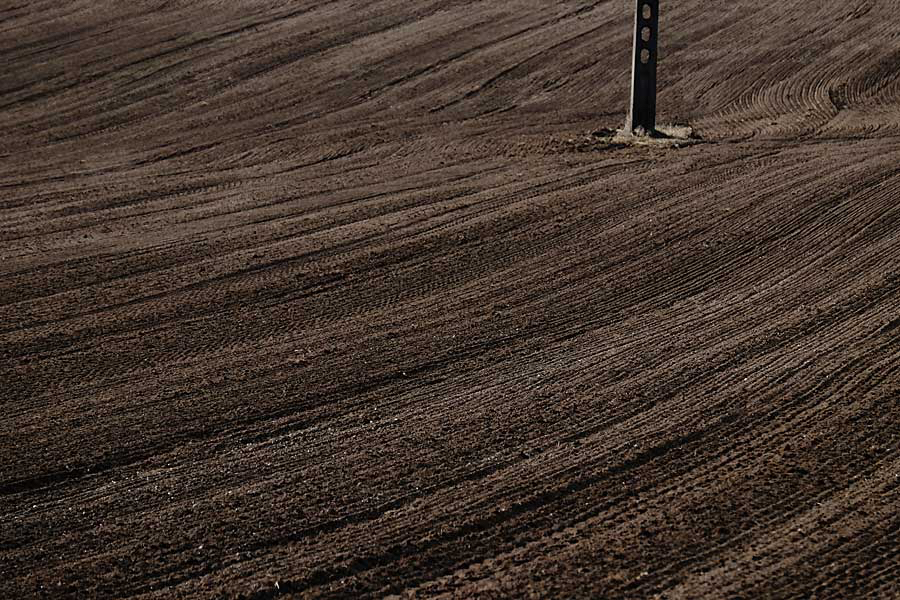 Frits-en-sporen-in-het-veld.jpg