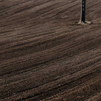 Frits-en-sporen-in-het-veld.jpg